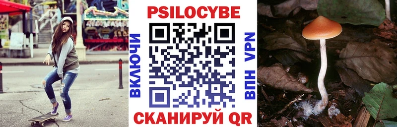 Псилоцибиновые грибы MAGIC MUSHROOMS  купить наркотик  OMG зеркало  Усолье 